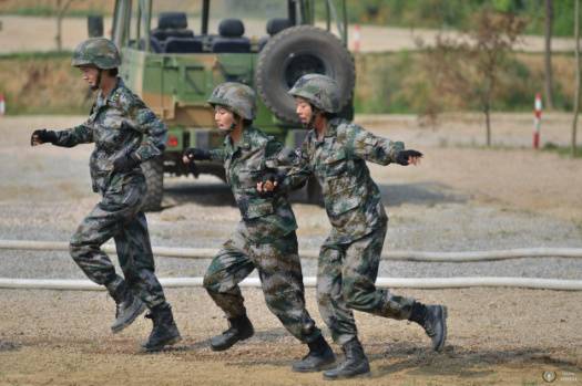 《我是特種兵之火鳳凰》