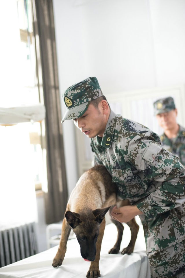 電視劇《神犬奇兵》全集劇照-風(fēng)尚娛樂(lè)http://news.fengsung.com/yule/