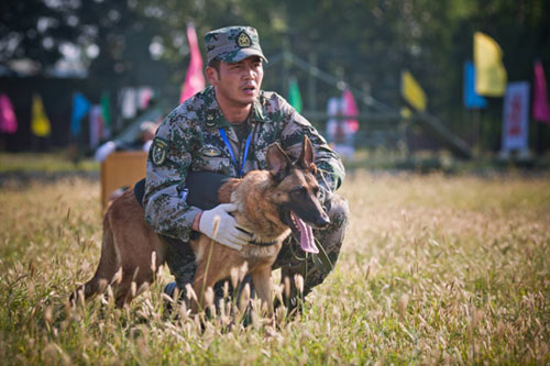 電視劇《神犬奇兵》全集劇照-風(fēng)尚娛樂http://news.fengsung.com/yule/