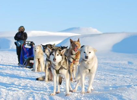 爵達(dá)旅程隆重推出全新極地之旅 探索雪白國度