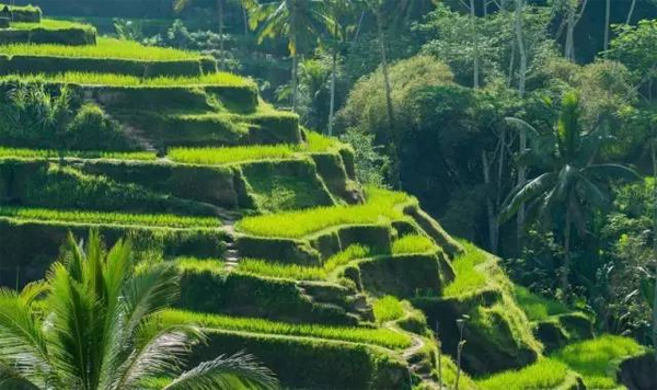 巴厘島The Legian 私密寧?kù)o的度假天堂