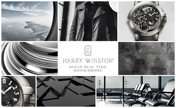 Harry Winston Ocean 兩地時間單色腕表