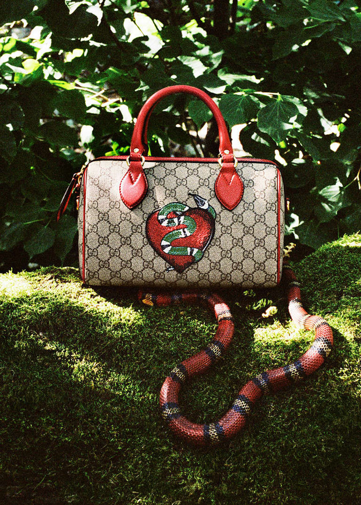 Gucci 2016假日系列廣告大片