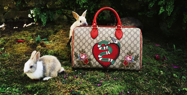 Gucci 2016假日系列廣告大片