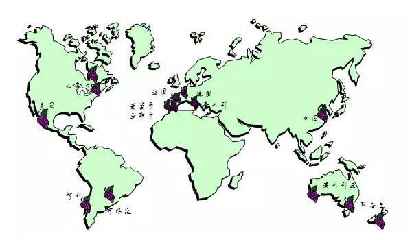 中國葡萄酒發(fā)展，走法國還是美國路線？