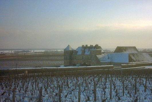 勃艮第伏舊園(Clos Vougeot)的冬日景象