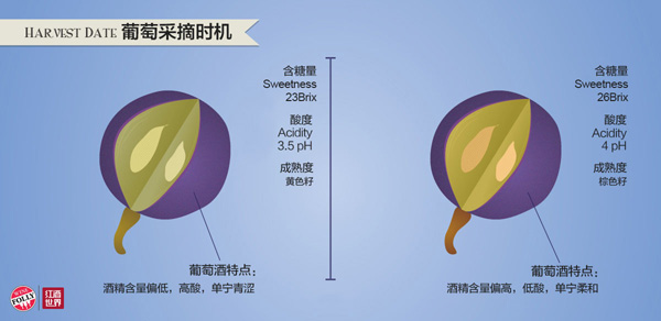 影響葡萄酒風(fēng)味的6大釀酒工藝