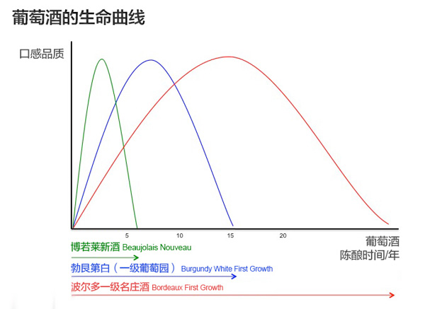 焦點(diǎn)問(wèn)答：葡萄酒如何陳年和儲(chǔ)存