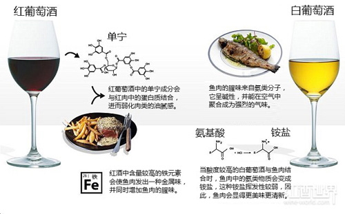 “紅酒配牛排”的真實原因，一張圖就夠用了！