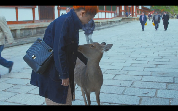 Agoda安可達(dá)帶你潛入四大旅行圣地