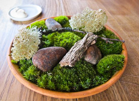 Moss and cep 油炸苔蘚和牛肝菌