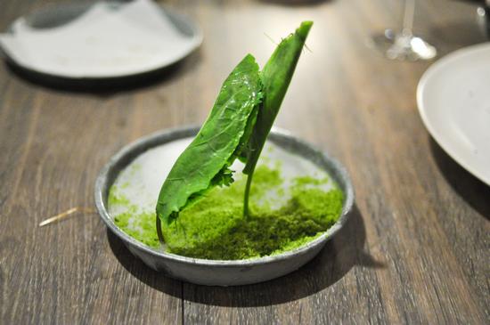 Sorrel leaf and cricket paste野菠菜葉及蟋蟀糊糊