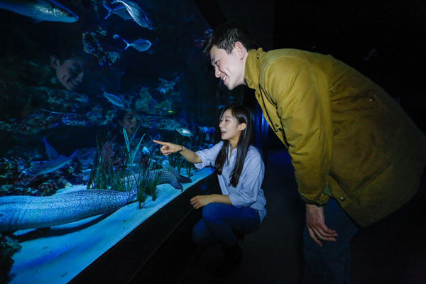 中國情侶入住Airbnb巴黎水族館，和鯊魚“共眠”