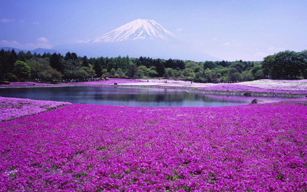 史上最完整北海道深度游地圖，給你一個愛上北海道的理由！