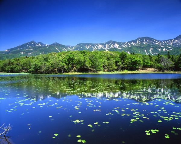 史上最完整北海道深度游地圖，給你一個愛上北海道的理由！