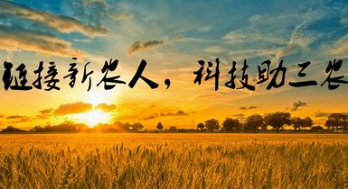 重磅！2021年中央一號文件發(fā)布，提出全面推進鄉(xiāng)村振興