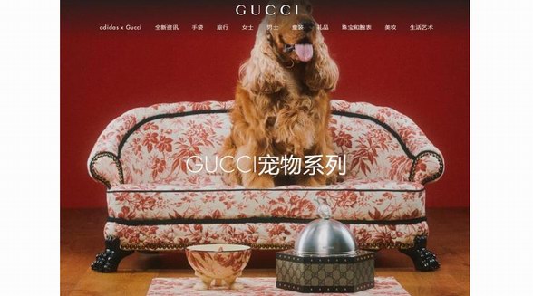 寵物奢侈品成潮流，Gucci、LV、愛馬仕等大牌搶灘“它經(jīng)濟”，一張寵物床賣7萬