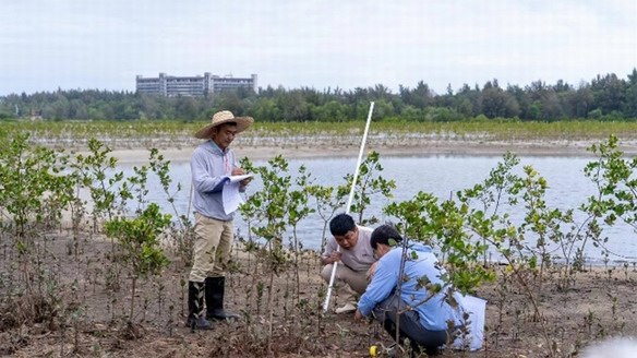 濱海生態(tài)再添新綠 各方聚力共護(hù)生物多樣性 馬爹利在瓊粵兩地同步啟動(dòng)紅樹林保護(hù)項(xiàng)目第三階段工作