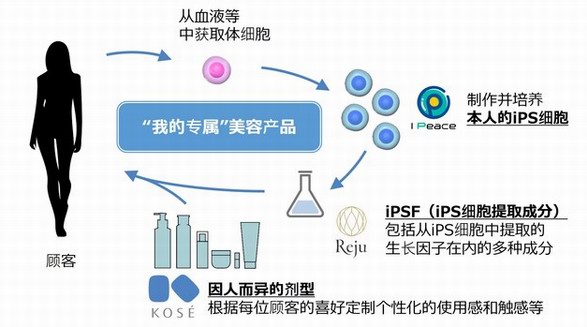 高絲、I Peace、Reju開展戰(zhàn)略性合作