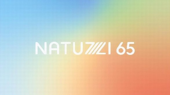 共譜璀璨篇章 | Natuzzi Editions意迪森流光溢彩65周年慶