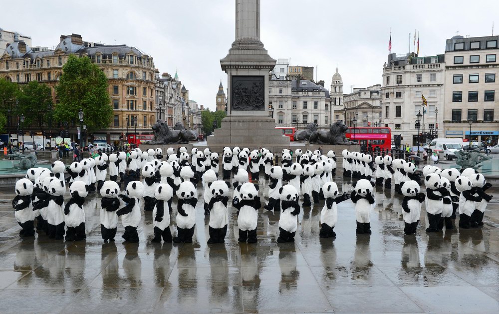 Panda Awareness Week熊貓保護意識周：成都大熊貓“熊抱”倫敦奧運