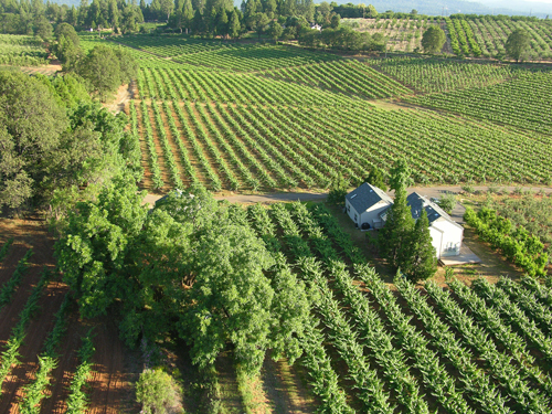 加州的埃爾多拉多酒鄉(xiāng) California’s El Dorado Wine Country