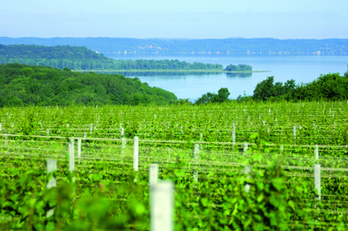 密歇根的歐米新半島 Michigan’s Old Mission Peninsula