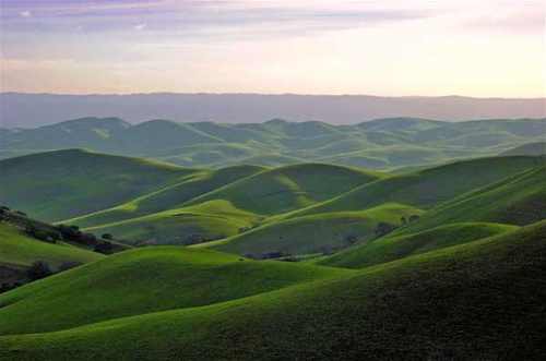 加州的利弗莫爾山谷 California’s Livermore Valley